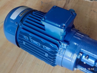 Moteur de pompe Lowara